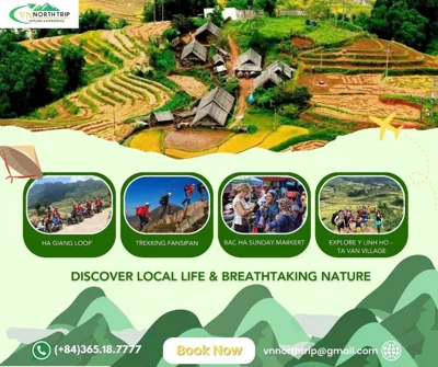 标准双床间 — Flaco Hostel Sapa